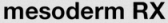 Mesoderm RX logo